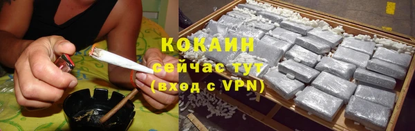 дмт Бородино