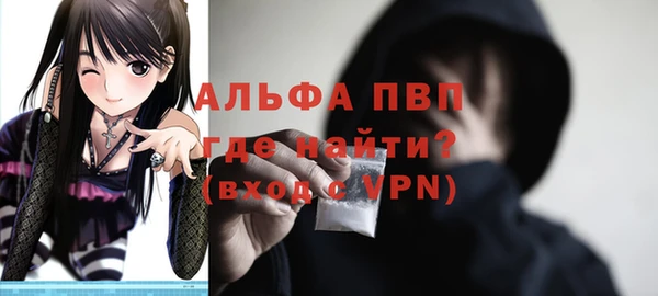 дмт Бородино