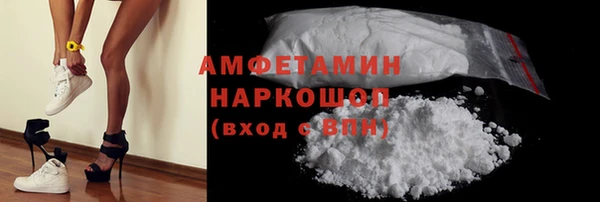 дмт Бородино