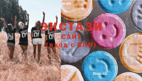 дмт Бородино