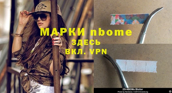 дмт Бородино