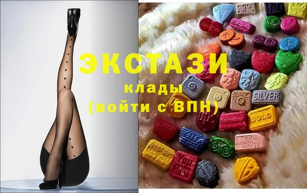 дмт Бородино