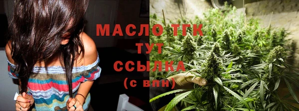 дмт Бородино