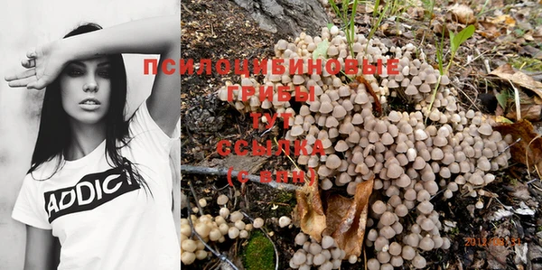 дмт Бородино