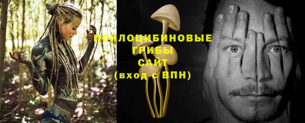 ALPHA PVP Верея