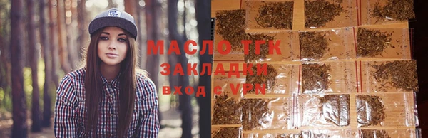 индика Верхний Тагил