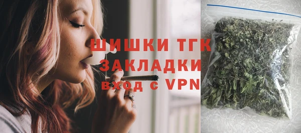 дмт Бородино