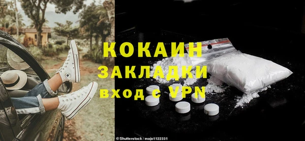 дмт Бородино