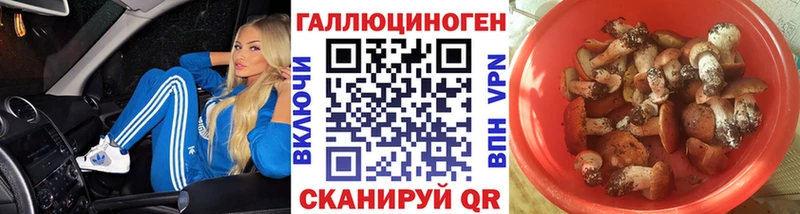 Купить где  Заречный  Галлюциногенные грибы Psilocybine cubensis 